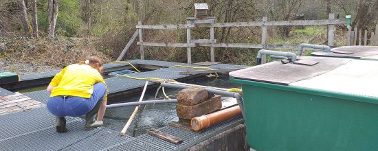 Emma au Moulin de Kalborn